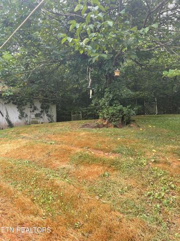 287 Lone Mountain Rd, Tazewell, TN 37879