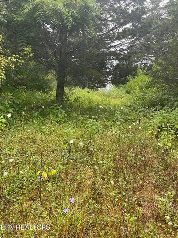 287 Lone Mountain Rd, Tazewell, TN 37879