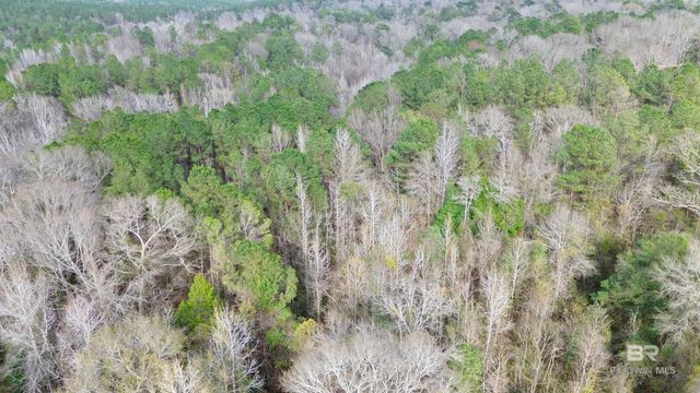 434 Highway 83, Evergreen, AL 36401