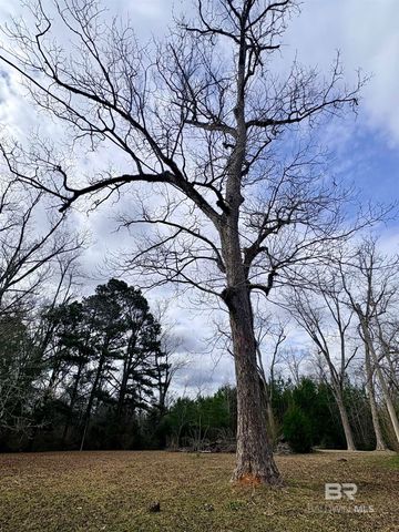 434 Highway 83, Evergreen, AL 36401