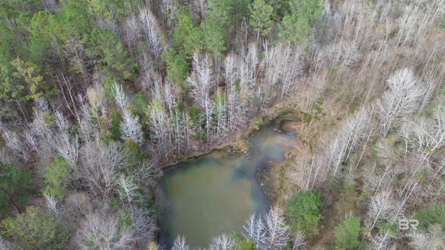 434 Highway 83, Evergreen, AL 36401