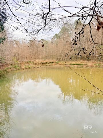 434 Highway 83, Evergreen, AL 36401