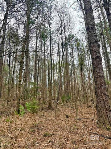 434 Highway 83, Evergreen, AL 36401