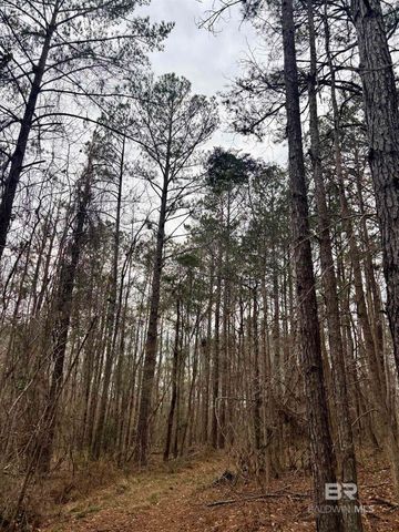 434 Highway 83, Evergreen, AL 36401