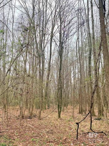 434 Highway 83, Evergreen, AL 36401