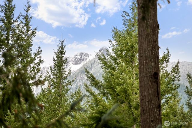 43418 SE 149th Street, North Bend, WA 98045