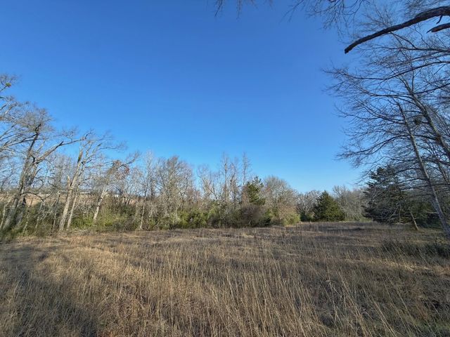 TBD Cr 317, Centerville, TX 75833