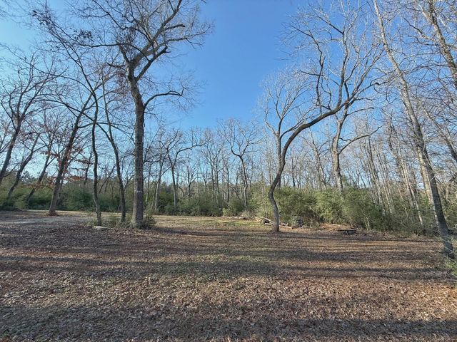 TBD Cr 317, Centerville, TX 75833