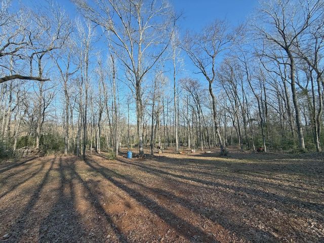 TBD Cr 317, Centerville, TX 75833