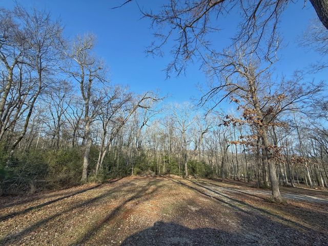 TBD Cr 317, Centerville, TX 75833