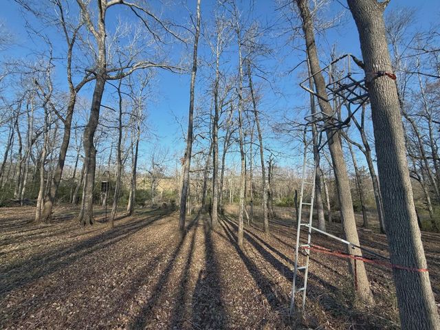 TBD Cr 317, Centerville, TX 75833