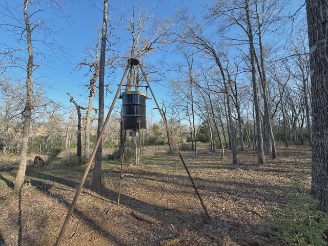 TBD Cr 317, Centerville, TX 75833