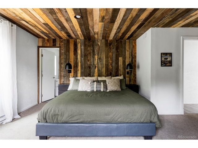 133 Gold Run Rd, Alma, CO 80440