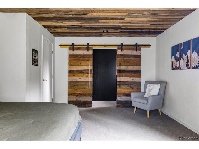 133 Gold Run Rd, Alma, CO 80440