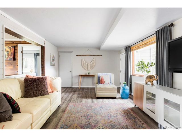 133 Gold Run Rd, Alma, CO 80440