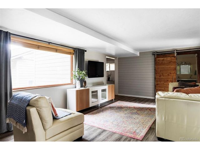 133 Gold Run Rd, Alma, CO 80440