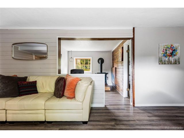 133 Gold Run Rd, Alma, CO 80440