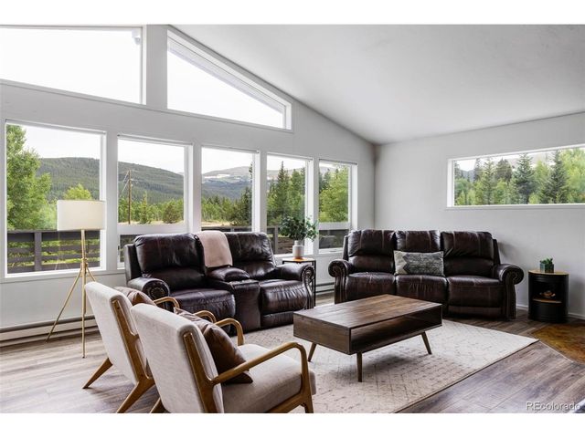 133 Gold Run Rd, Alma, CO 80440