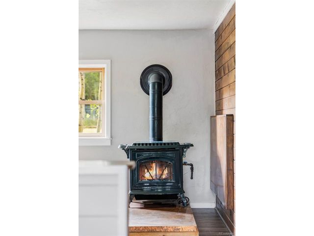 133 Gold Run Rd, Alma, CO 80440