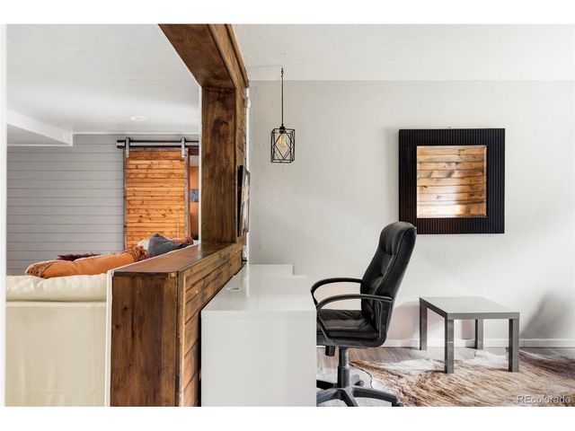 133 Gold Run Rd, Alma, CO 80440