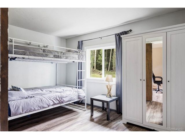 133 Gold Run Rd, Alma, CO 80440