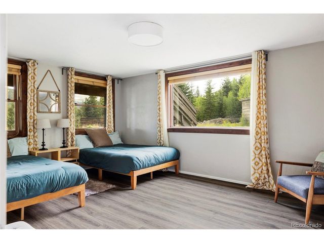 133 Gold Run Rd, Alma, CO 80440