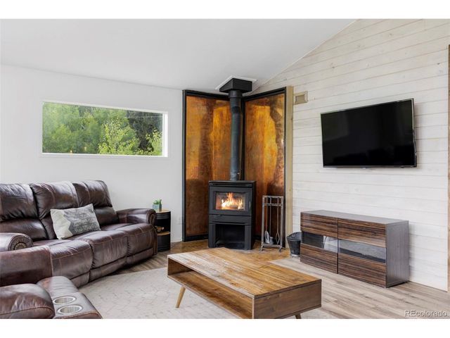 133 Gold Run Rd, Alma, CO 80440