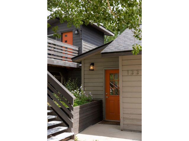 133 Gold Run Rd, Alma, CO 80440