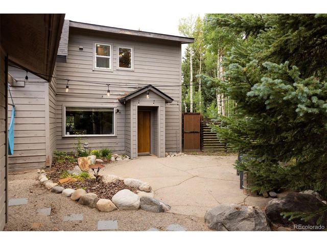 133 Gold Run Rd, Alma, CO 80440