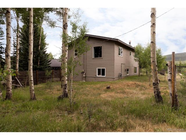 133 Gold Run Rd, Alma, CO 80440