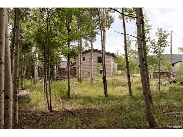 133 Gold Run Rd, Alma, CO 80440