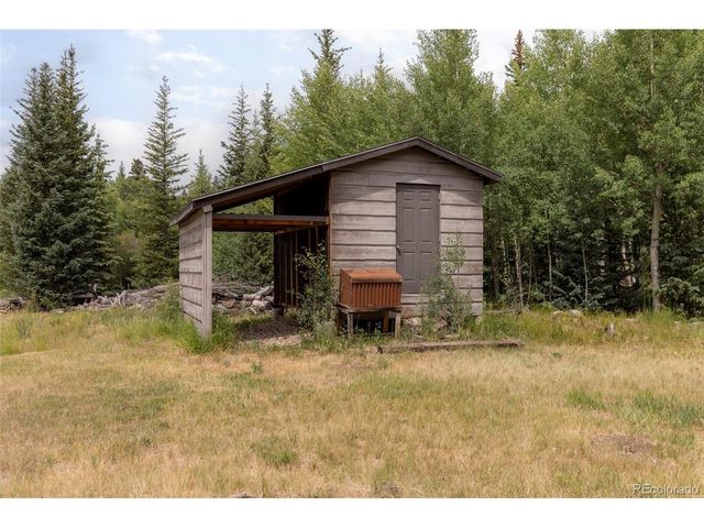 133 Gold Run Rd, Alma, CO 80440