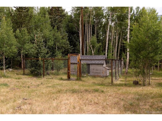 133 Gold Run Rd, Alma, CO 80440