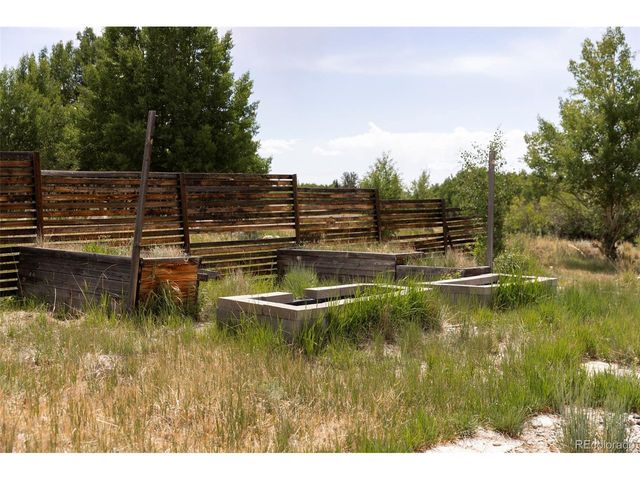 133 Gold Run Rd, Alma, CO 80440