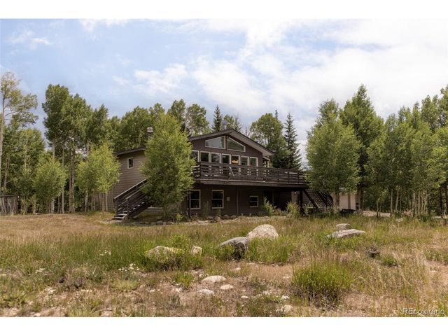 133 Gold Run Rd, Alma, CO 80440
