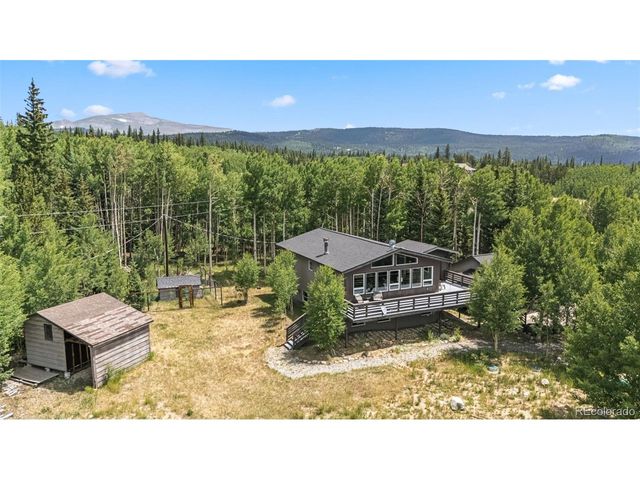 133 Gold Run Rd, Alma, CO 80440