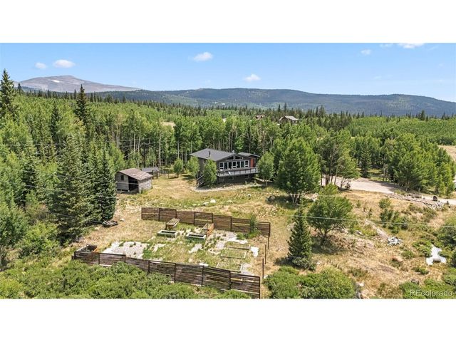 133 Gold Run Rd, Alma, CO 80440