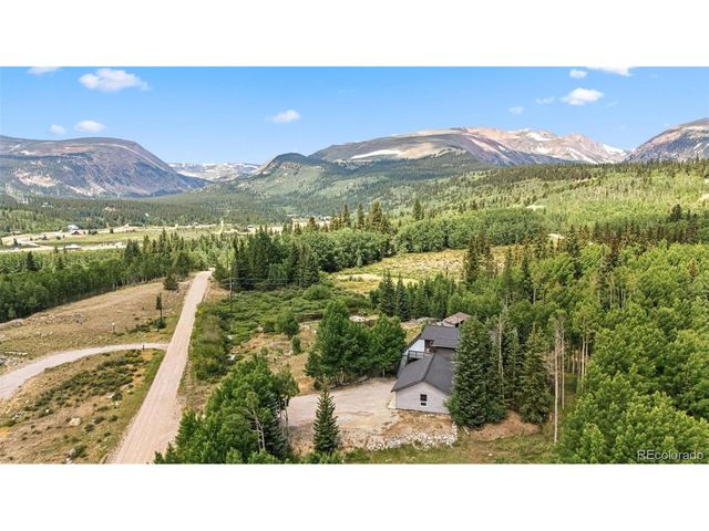 133 Gold Run Rd, Alma, CO 80440