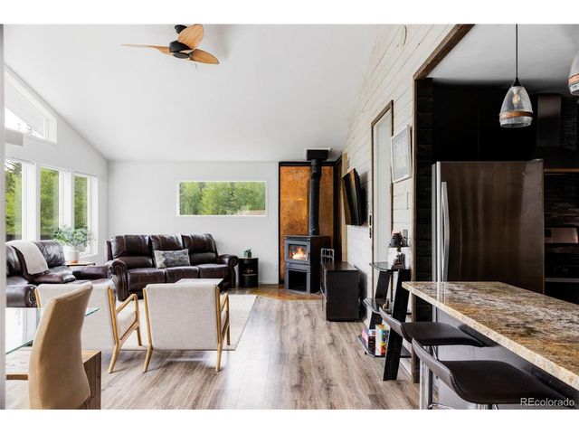 133 Gold Run Rd, Alma, CO 80440