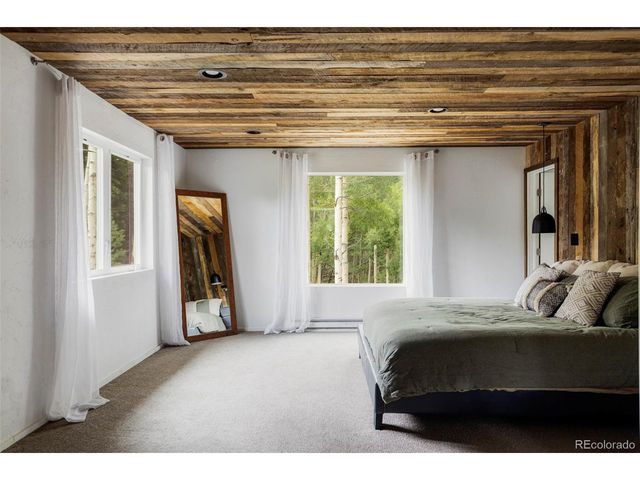 133 Gold Run Rd, Alma, CO 80440