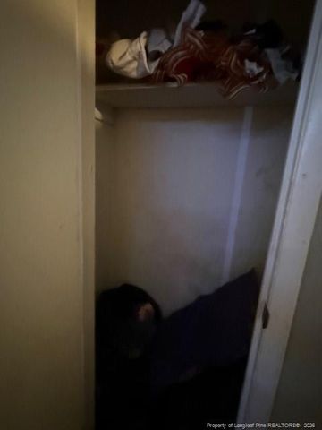 2513 E Brinkley Drive, Spring Lake, NC 28390