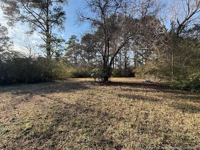 2513 E Brinkley Drive, Spring Lake, NC 28390