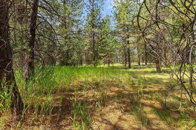 NNA Pinehurst Park Ave, Spokane, WA 99217