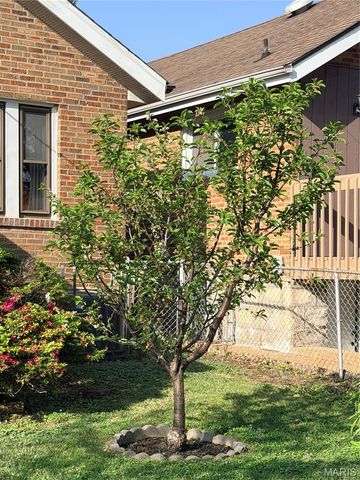 3829 Burgen Avenue, St Louis, MO 63116