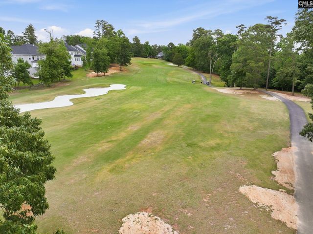 212 Bays End Court, Chapin, SC 29036