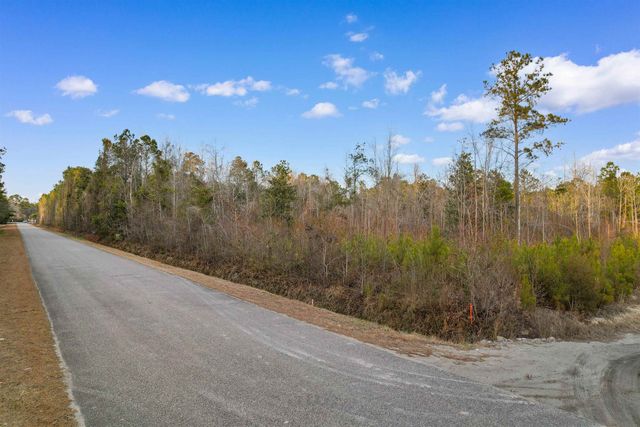 TBD Fowler School Rd., Green Sea, SC 29545