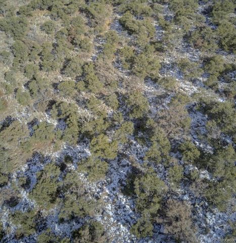 LOT 2443 Hall Lane, Fort Garland, CO 81133