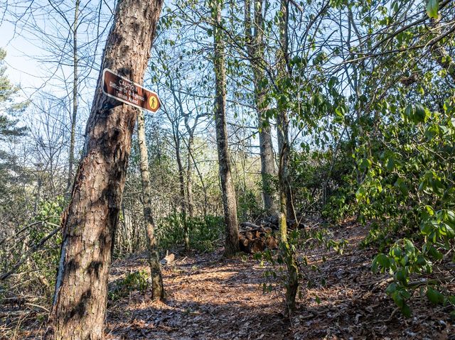 517 Ridge Road, Blue Ridge, GA 30513