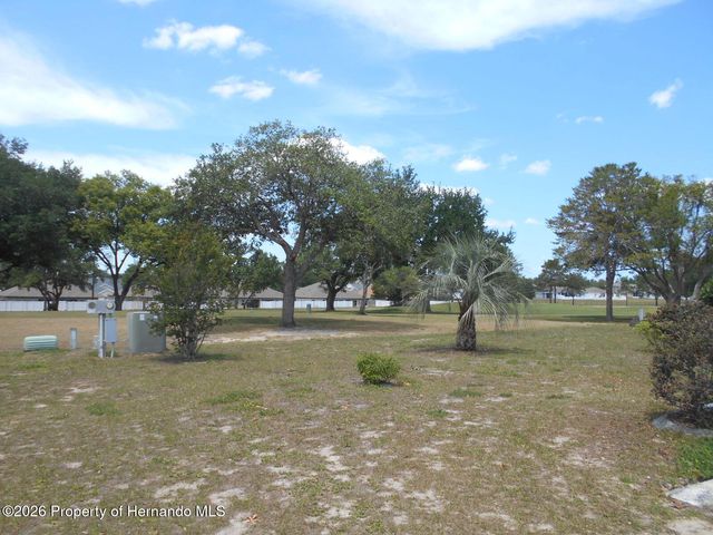 14371 Rialto Avenue, Brooksville, FL 34613