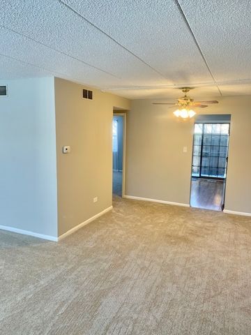 1508 W Jefferson Avenue D, Naperville, IL 60540